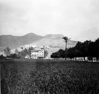 QUIEN TE METE EN LA CRISIS NO TE SACA DE ELLA